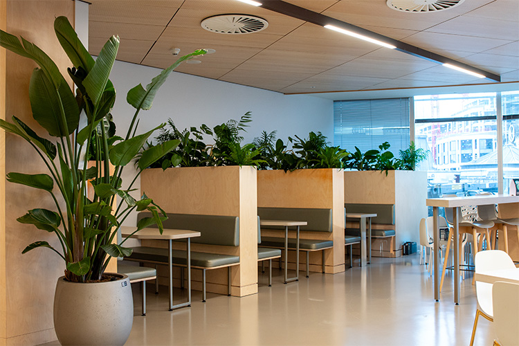 International Law Firm, The Barbican (6)