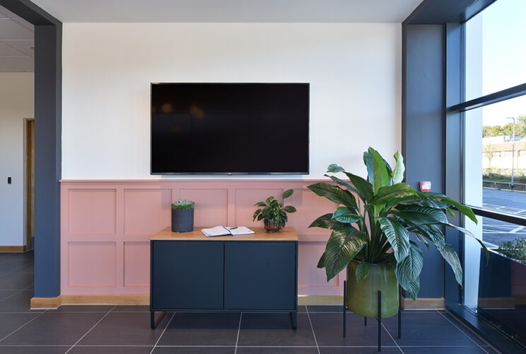 Lithium Manufacturing, Basingstoke (2)