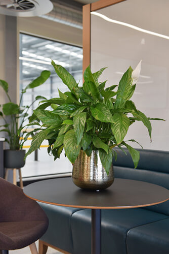 Lithium Manufacturing, Basingstoke (6)