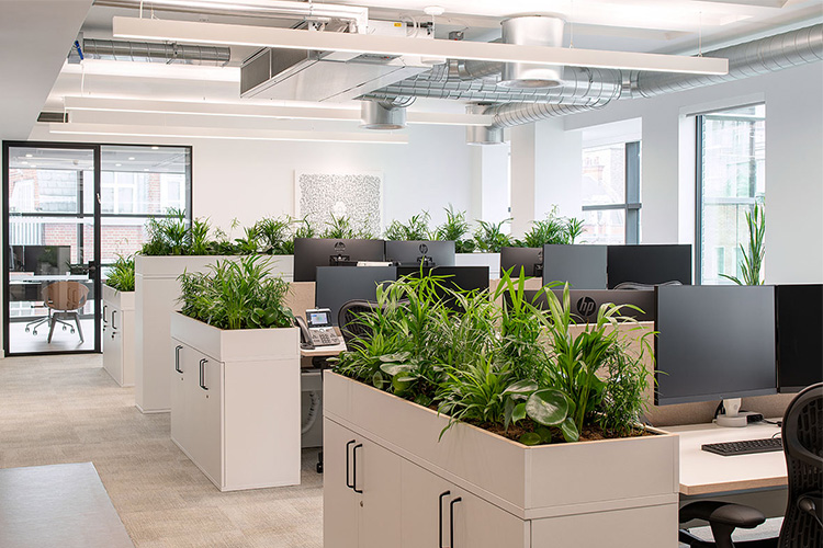Real Estate Investment Firm, Mayfair (3)