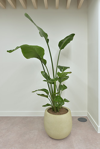 Serviced Office Provider, Oxford Circus (13)