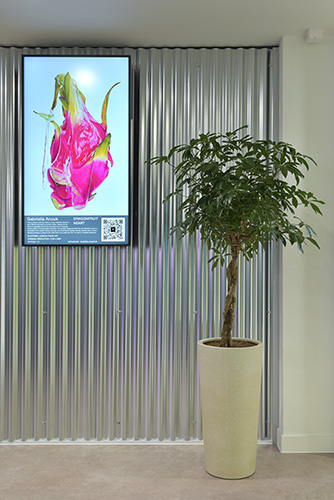 Serviced Office Provider, Oxford Circus (22)