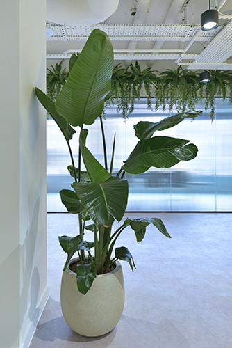 Serviced Office Provider, Oxford Circus (8)