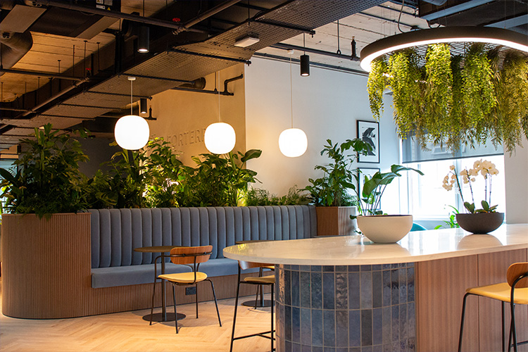 Software Developers, Golden Square (11)