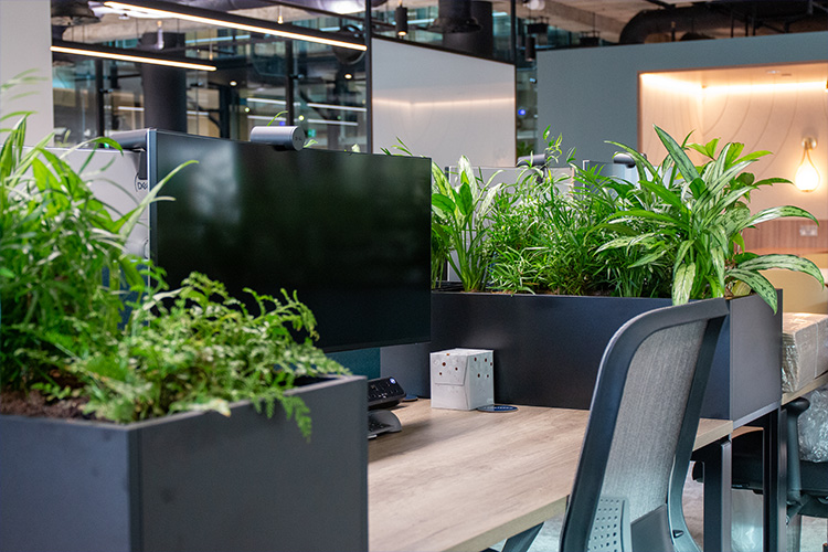 Software Developers, Golden Square (14)