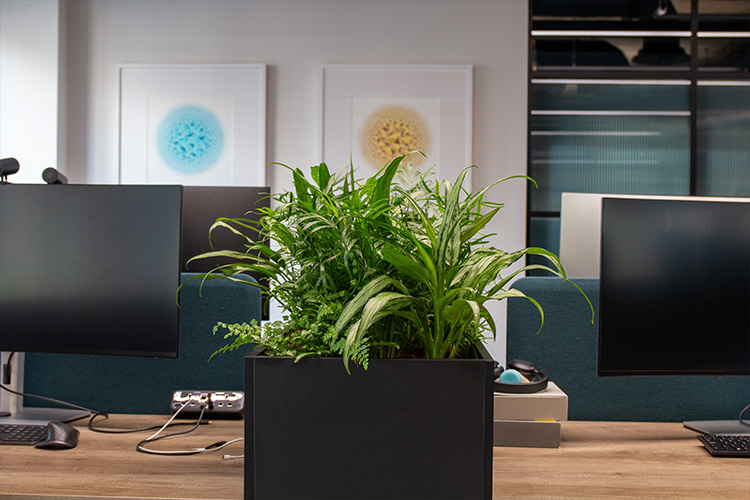 Software Developers, Golden Square (15)