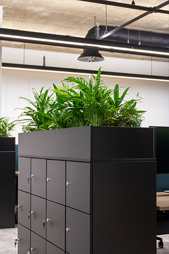 Software Developers, Golden Square (16)