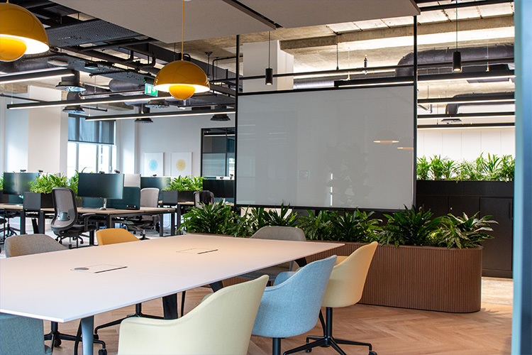Software Developers, Golden Square (17)