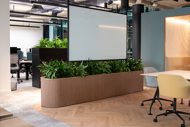Software Developers, Golden Square (18)