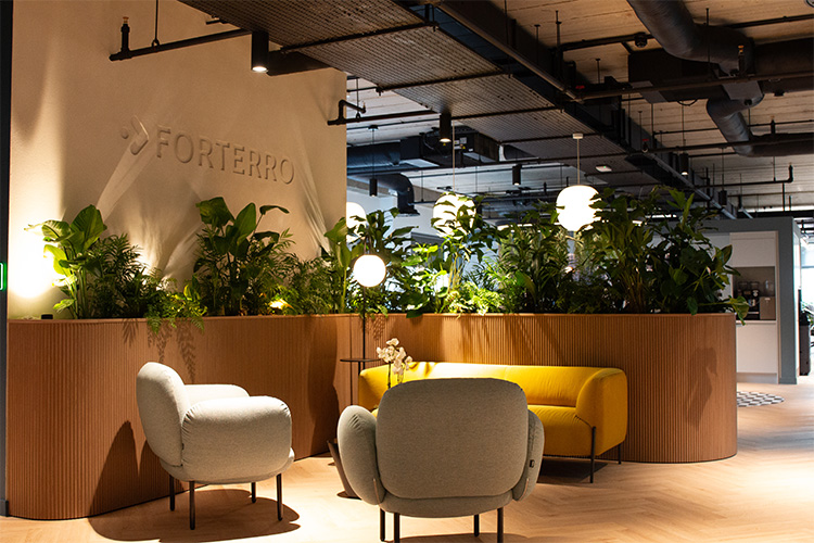 Software Developers, Golden Square (5)