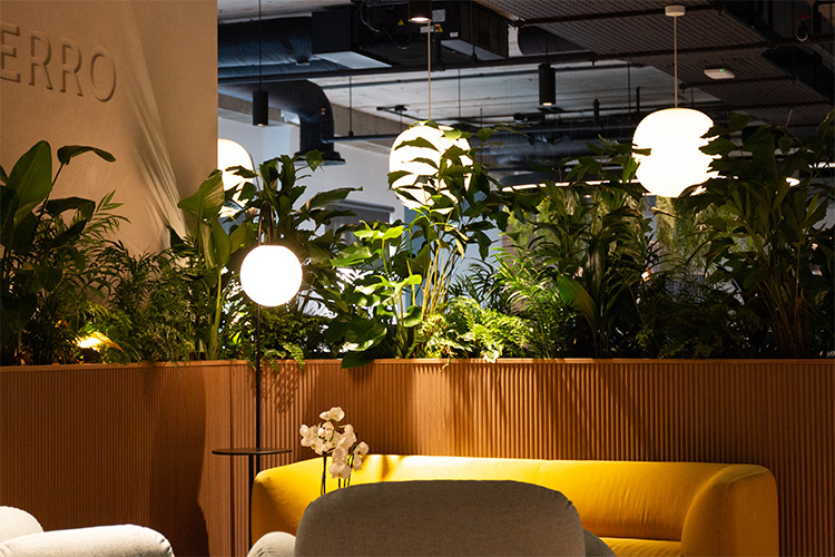 Software Developers, Golden Square (7)