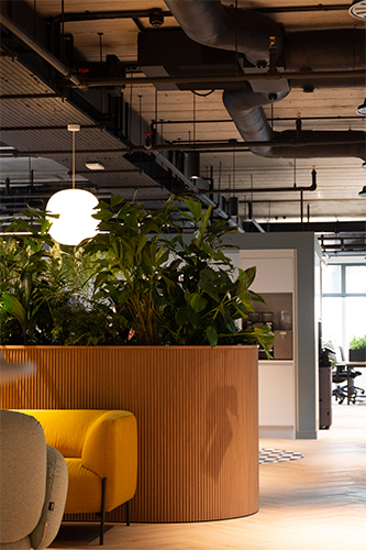 Software Developers, Golden Square (8)