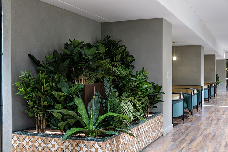 Travel Agency, Angel (12)