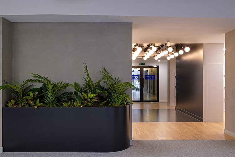 Travel Agency, Angel (15)