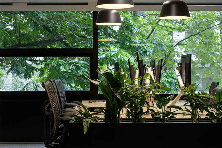 Travel Agency, Angel (16)