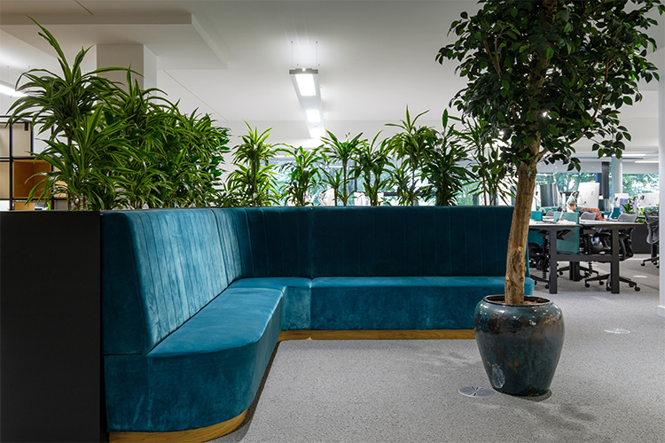 Travel Agency, Angel (17)