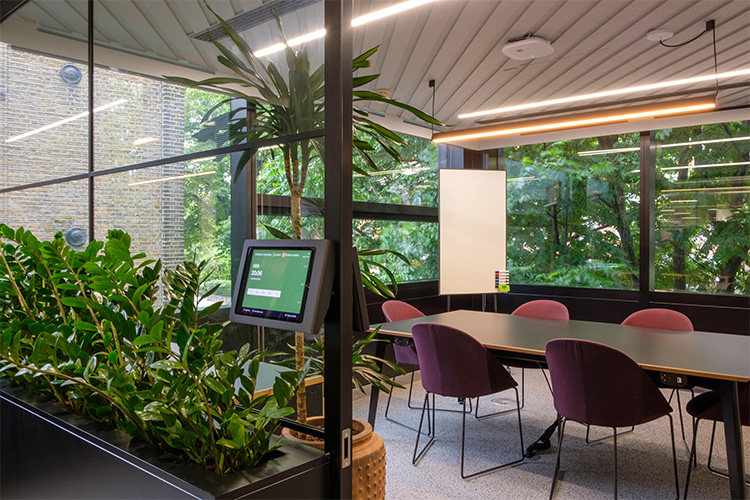 Travel Agency, Angel (19)