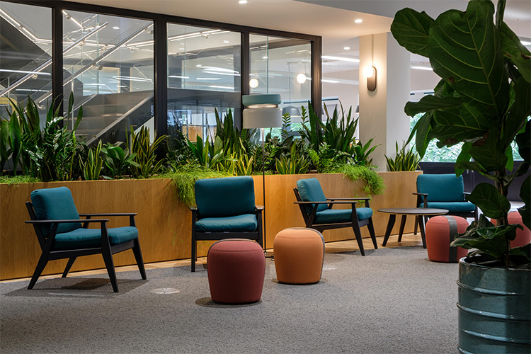 Travel Agency, Angel (2)