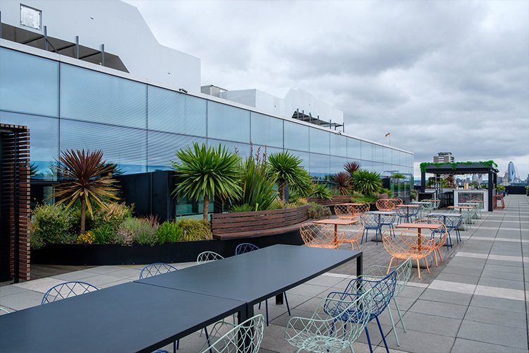 Travel Agency, Angel (3)