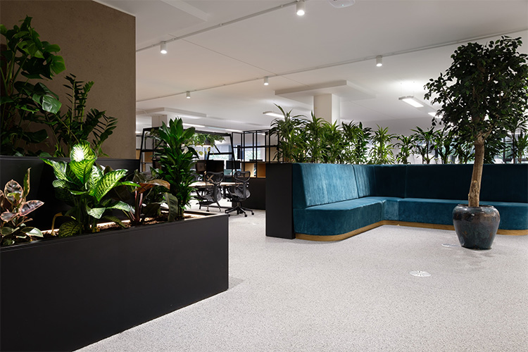 Travel Agency, Angel (5)