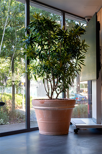 University, Docklands Campus (22)