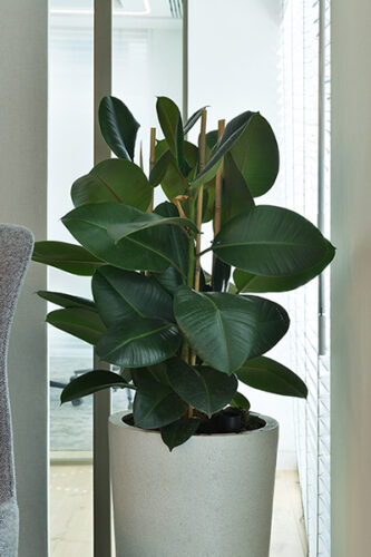 Wealth Management, City Of London (7)