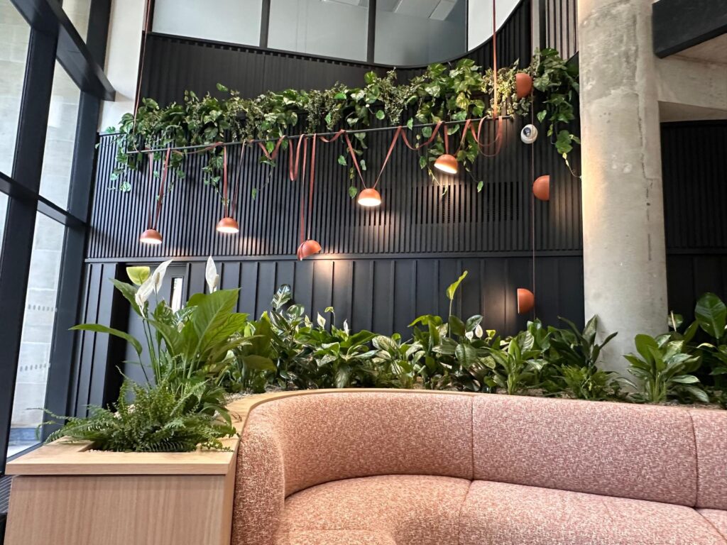 Contemporary office breakout area featuring integrated planter seating, extensive interior planting, and cascading overhead greenery.