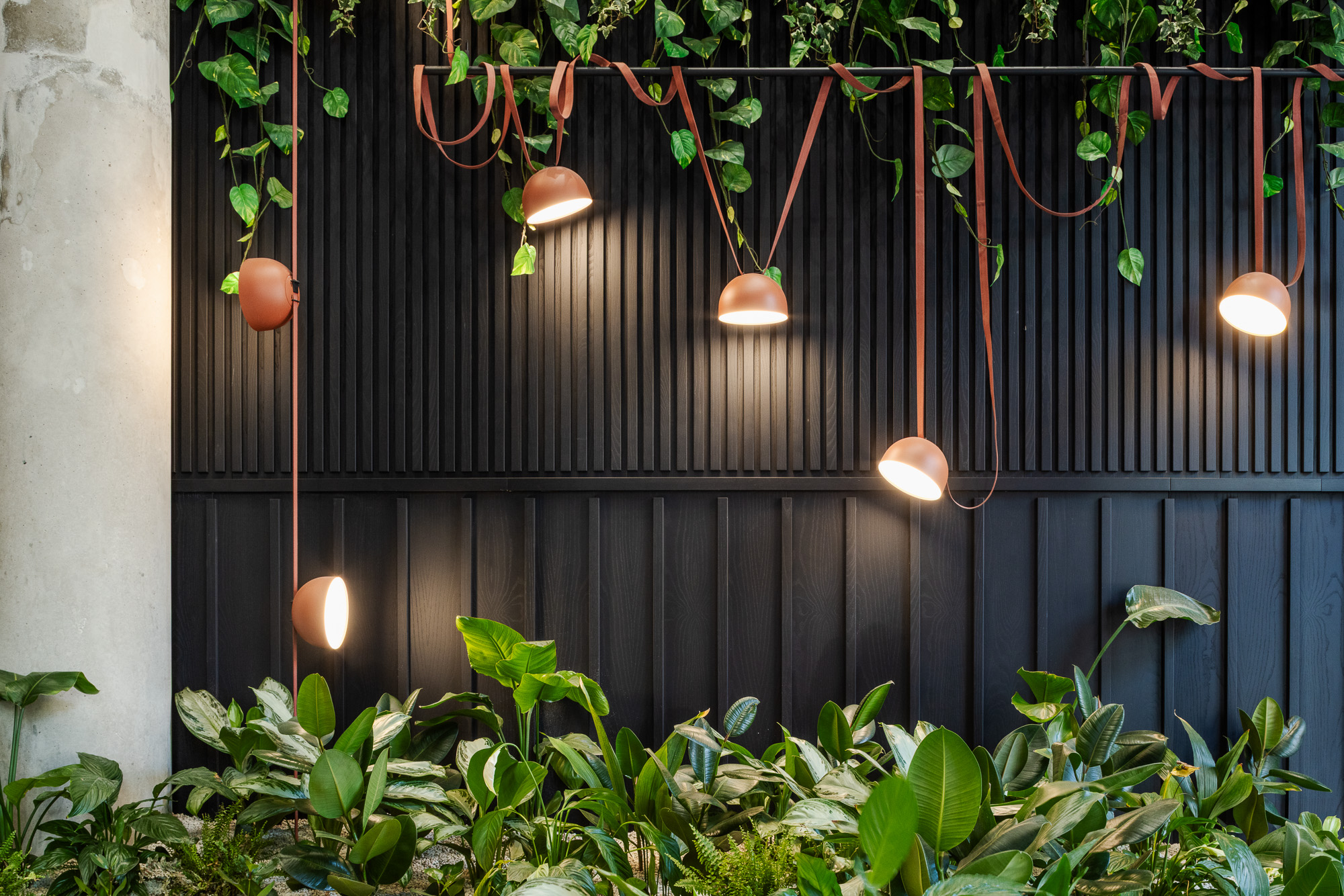 Trailing greenery and leafy planting frame terracotta pendant lights against a dark slatted wall at Embarq.