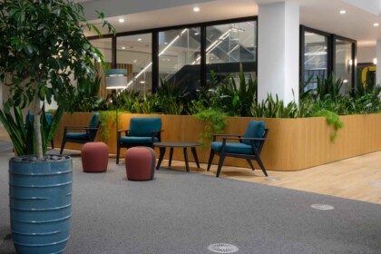 Large wall-mounted planters and free-standing plants within a modern office environment.