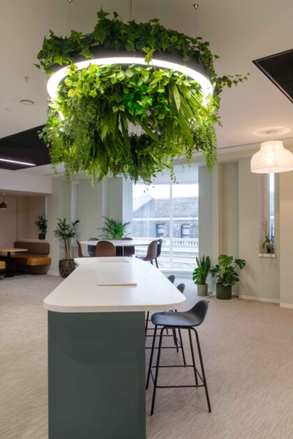 How To Put Plants Into Designs 5 Scaled
