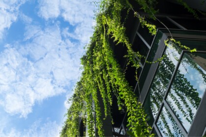 Low-angle view looking up at exterior ceiling planting installed within an outdoor structure.