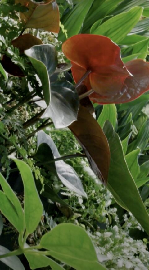 Ea 1 Abc 257 A 4848 E 9 Aae 60 Bebea 17 A 373 Cf 5 C 8 F 76