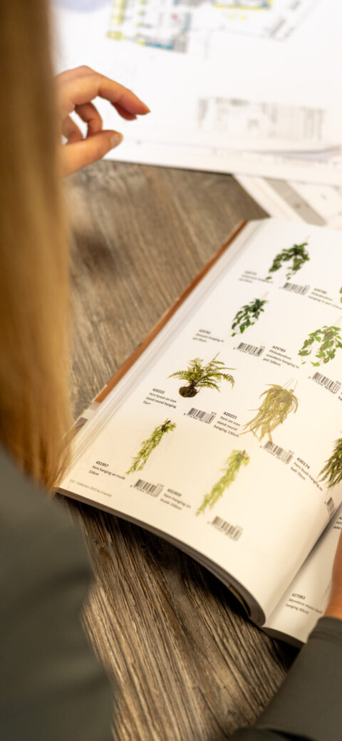 Biophilic office design at Exubia