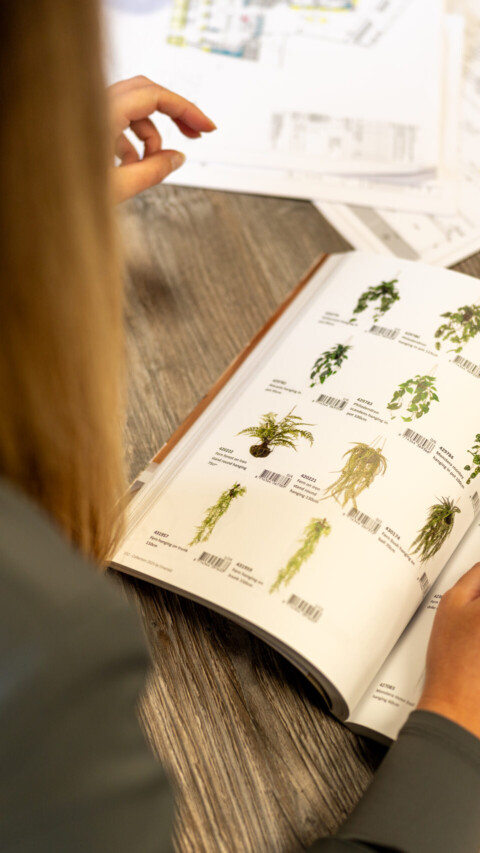 Biophilic office design at Exubia