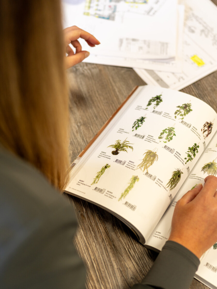 Biophilic office design at Exubia