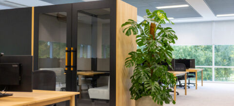 Live planting in offices