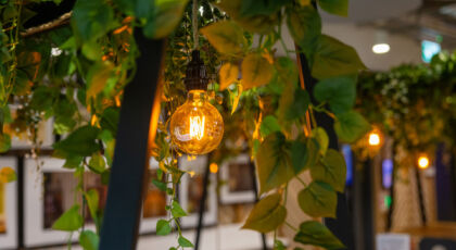 Exubia Photoshoot 66