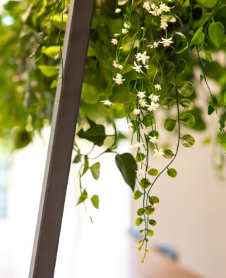 Exubia Photoshoot 58