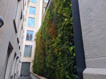 Green Walls 980 X 735