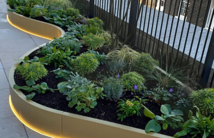 Exterior Planting