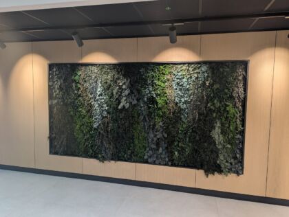 Preserved Wall 1