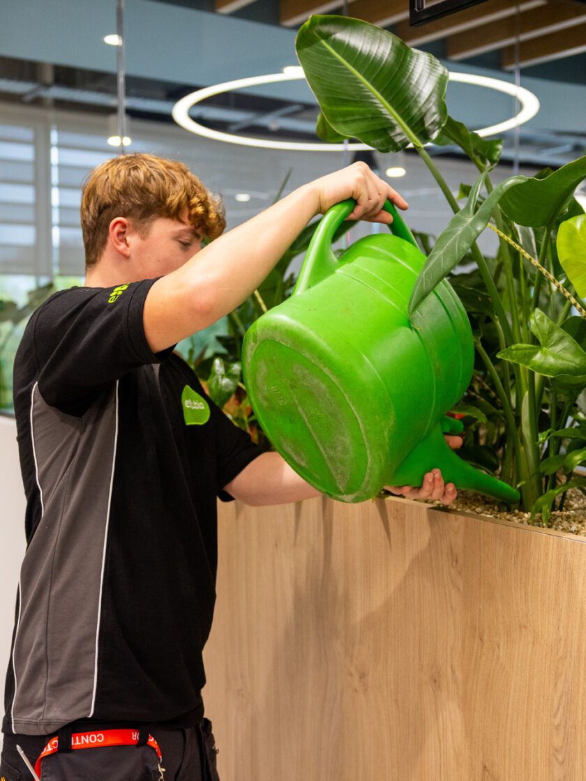 Male HortiCare technician watering interior plants within a contemporary commercial environment.