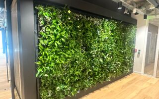 Green Walls