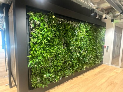 Living Wall 1