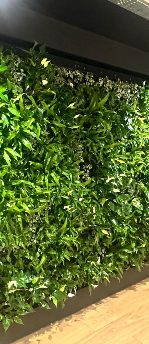 Living Wall 1