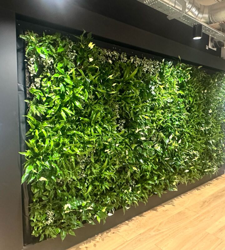 Living Wall 1