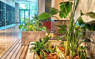 Hotels & Hospitality