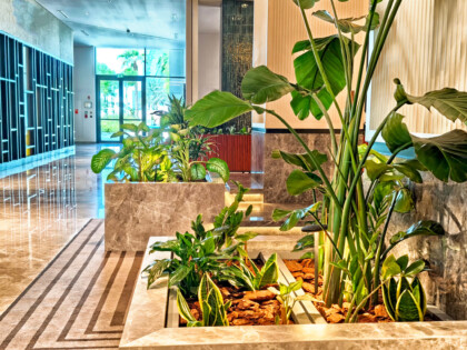 Modern Interior Design Featuring Indoor Plants And Natural Light In A Luxurious Hotel Lobby