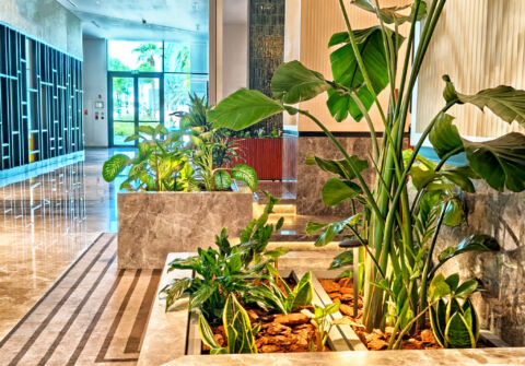 Modern Interior Design Featuring Indoor Plants And Natural Light In A Luxurious Hotel Lobby