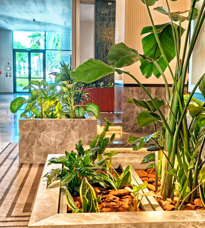 Modern Interior Design Featuring Indoor Plants And Natural Light In A Luxurious Hotel Lobby